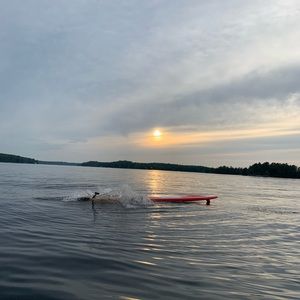 Meet your Posher, Nikki